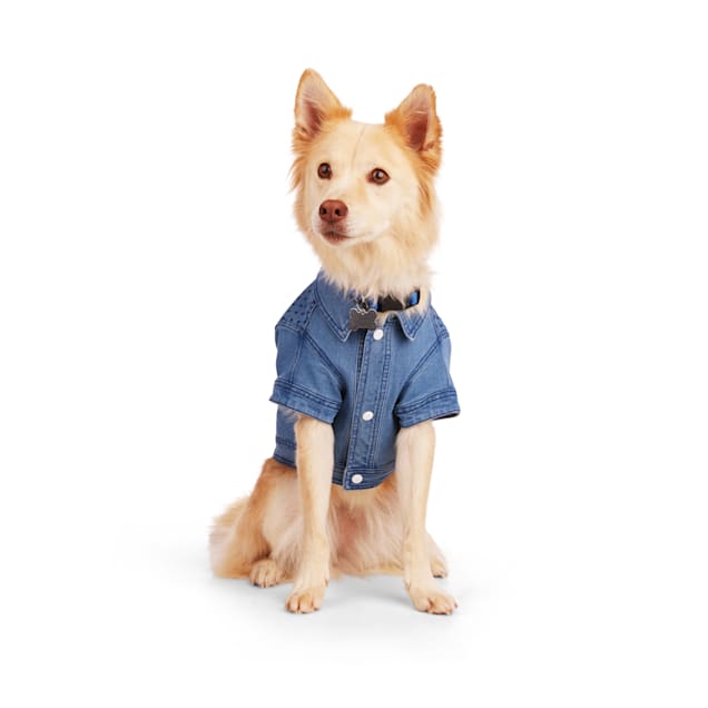 YOULY Blue Denim Jacket for Dogs XX Small Petco