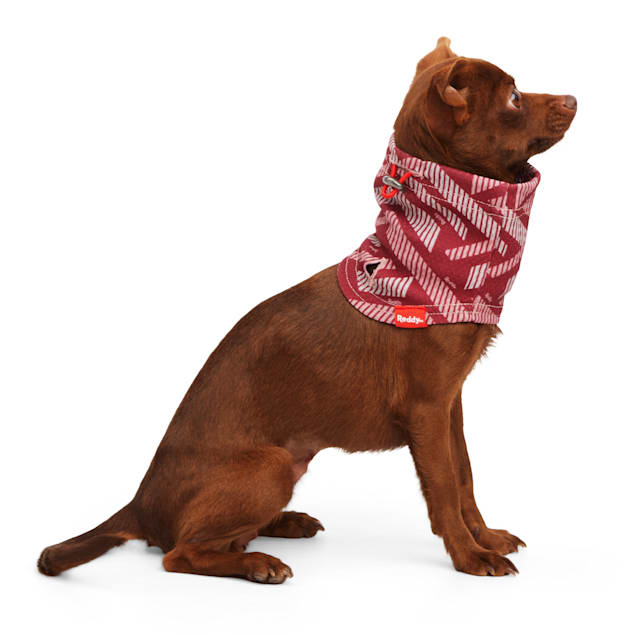 Matching Human & Dog Bandana & Face Mask - Snakeskin