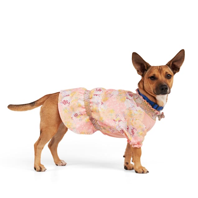 Dog bathing cheap suits petco