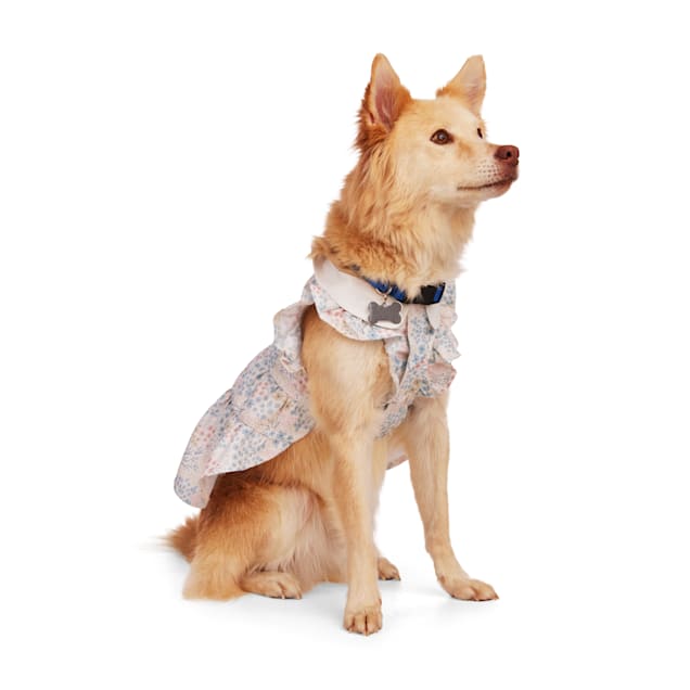 Simply dog dress sales