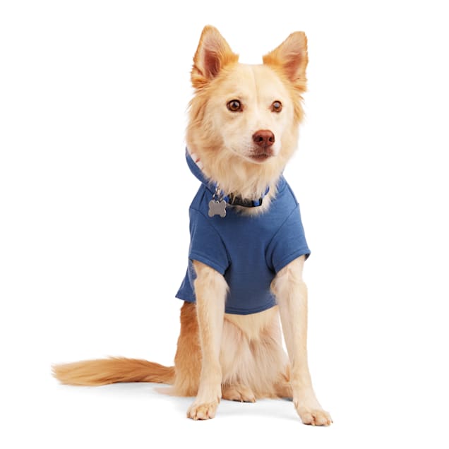 Dog on sale shark hoodie