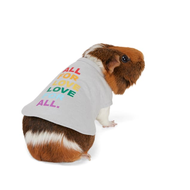 Guinea pig shop clothes petco