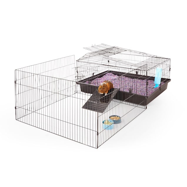 EveryYay Guinea Pig Habitat With Play Yard Petco