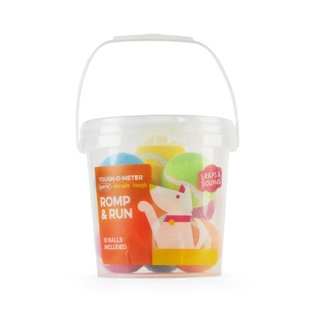 bucket of tennis balls for dogs