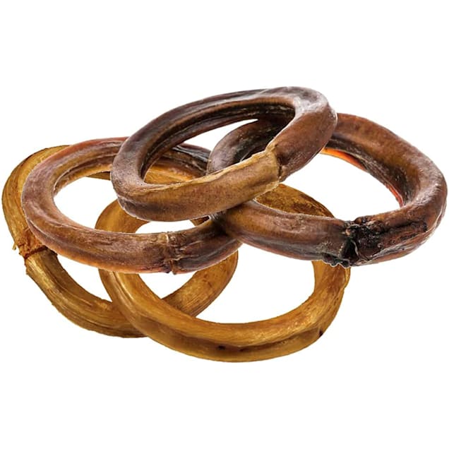 Dog rings for dogs store