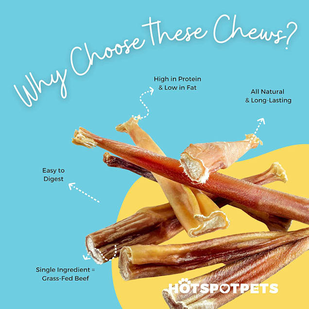 Odor free bully sticks petco online