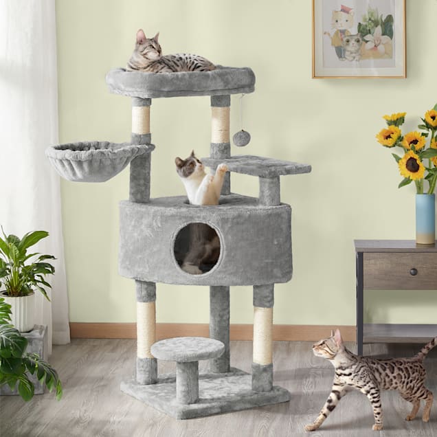 Petco cat trees top for large cats