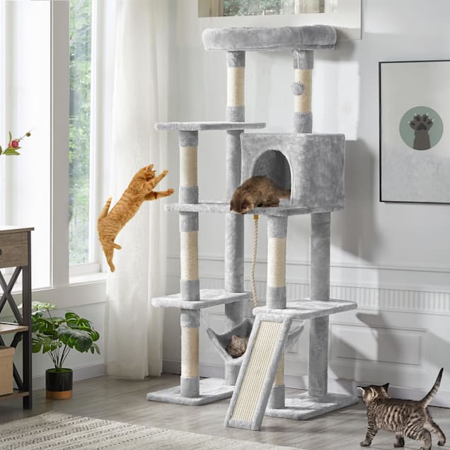 Petco cat hammock online