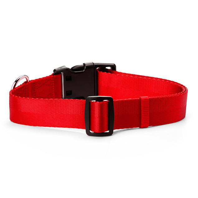 Adjustable 2025 dog collar