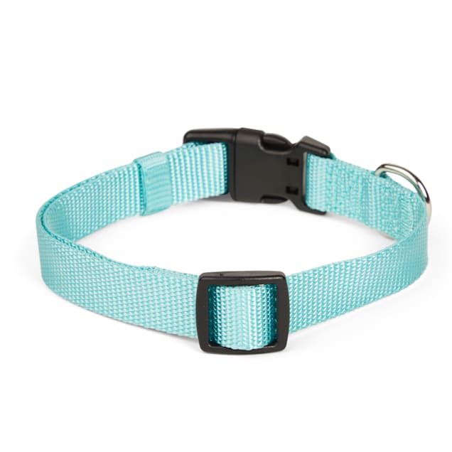 Tiffany dog collar small online