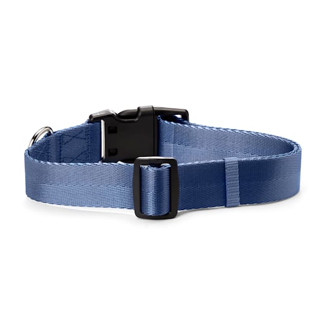 Petco led collar sale