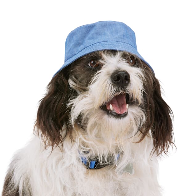 Dog hats petco online