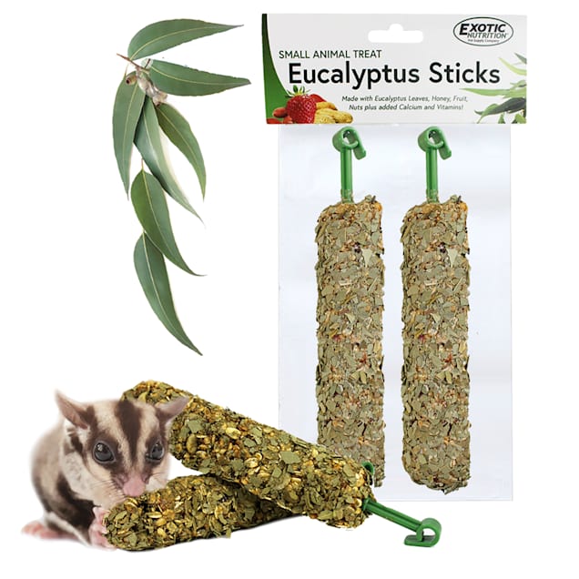 Sugar glider price petco shop