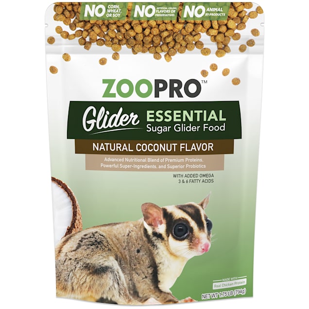 Sugar glider shop price at petco