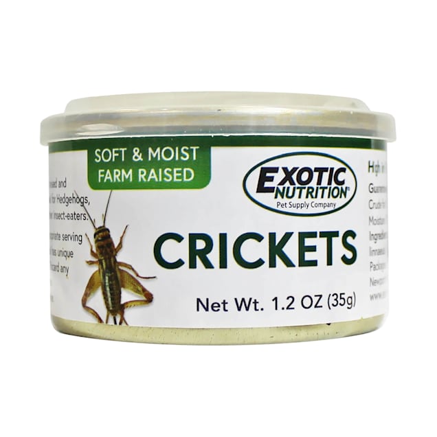 Pet stores with crickets deals near me