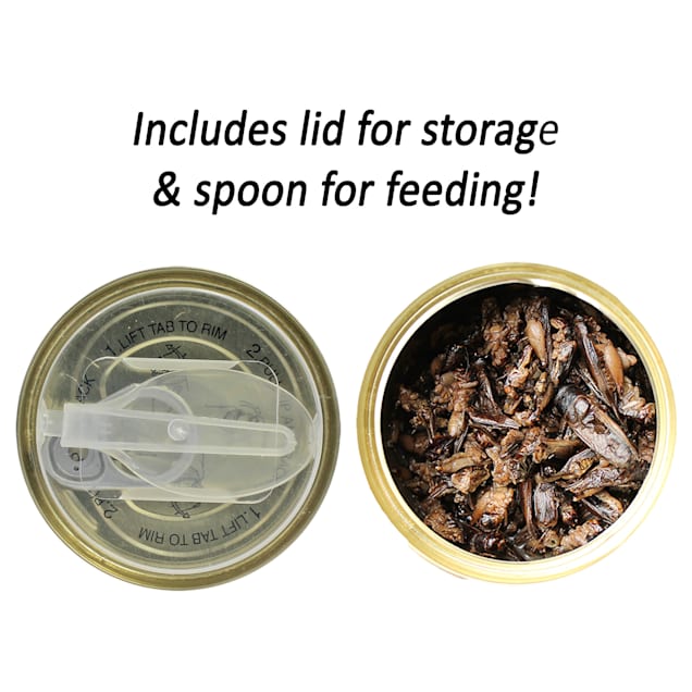Flukers canned crickets cheap