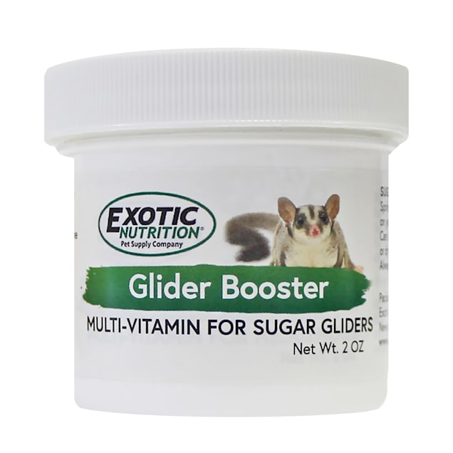 Sugar glider price at petco sales