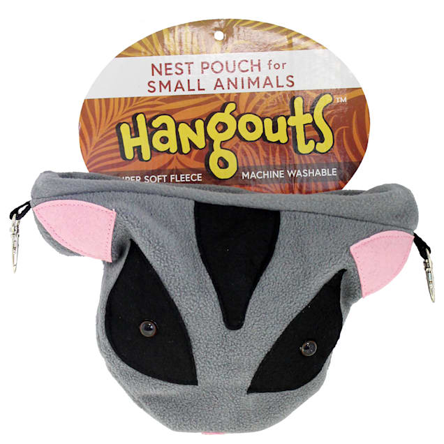 Sugar glider price petco hotsell