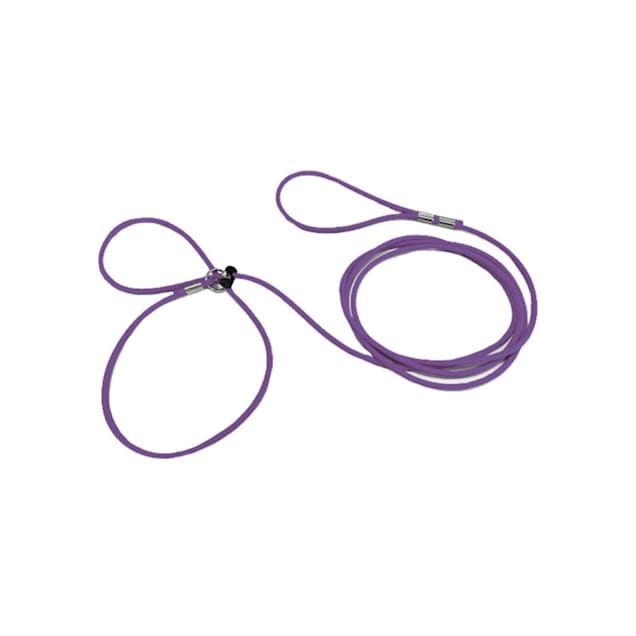 Piggy Poo and Crew Purple Adjustable Pet Harness and Leash, 12 ft. - Carousel image #1