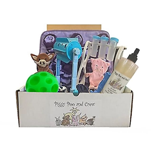 Piggy Poo and Crew Blue Game Box Toy, Medium - Carousel image #1