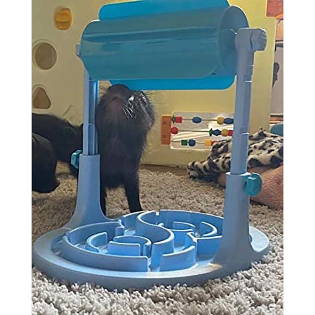 Petco slow feed cat bowl sale