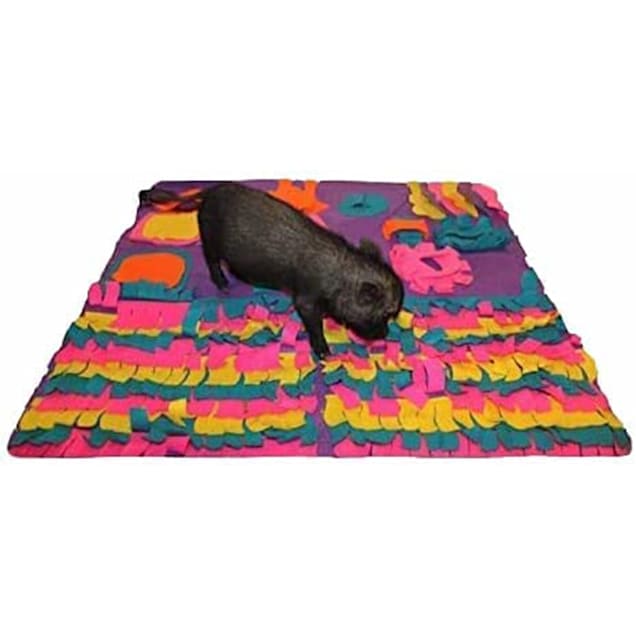 A Medium Treat Mat Snuffle Mat Dog Toyenrichment Activityfor Dogs