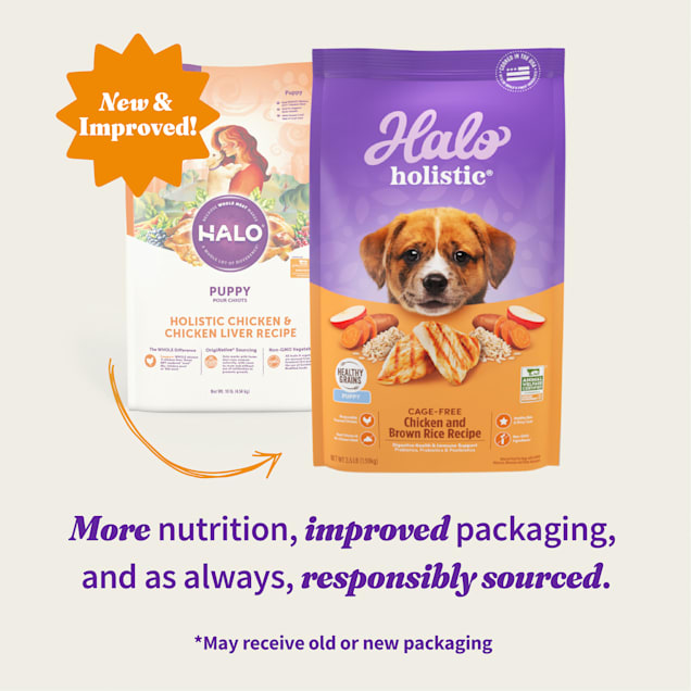 Halo Holistic Complete Digestive Health Chicken Brown Rice Recipe Puppy Dry Dog Food 3.5 lb Bag