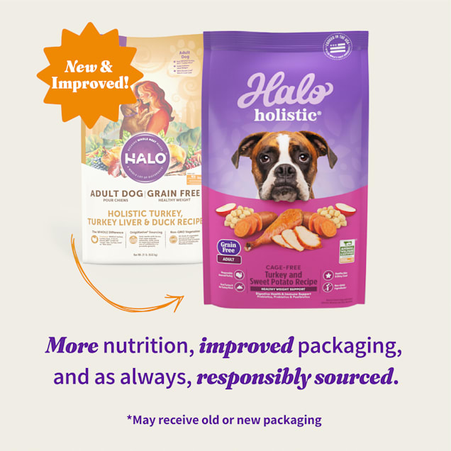 Halo Holistic Complete Digestive Health Grain Cage Free Turkey and Sweet Potato Recipe Adult Formula Dry Dog Food 21 lbs. Petco