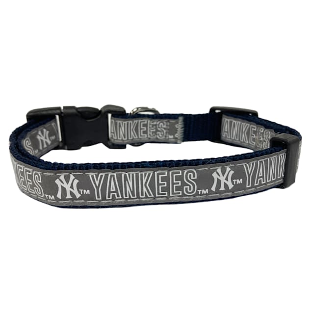 New york yankees dog collar sales
