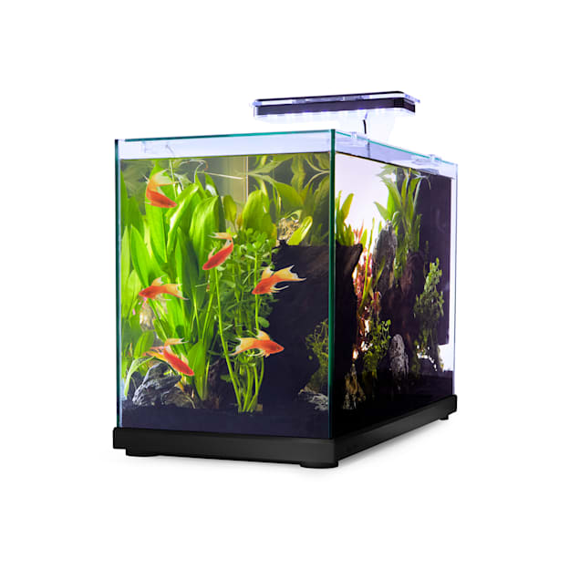 Aqua LED 10 Gallon Aquarium 12 Fish Tank Cover Adjustable Blue
