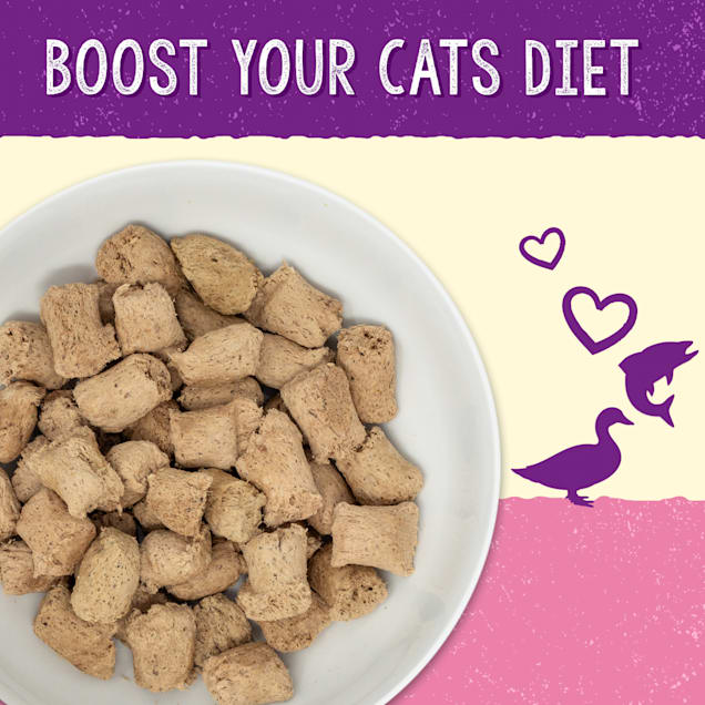 Stella & Chewy's Skin & Coat Boost Cage-Free Duck & Wild-Caught Salmon Dinner Mixer Dry Cat Food, 7.5 oz.