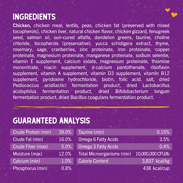 Raw coated 2024 kibble cat
