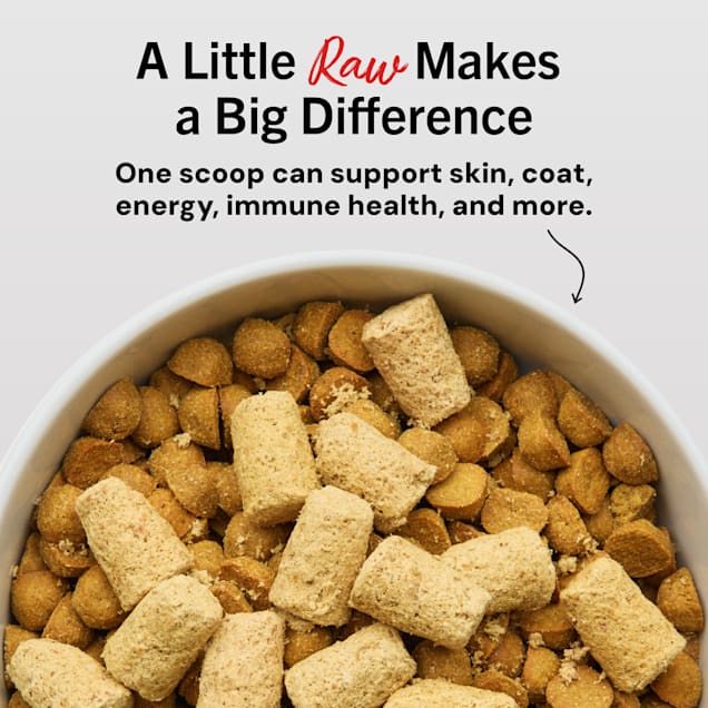 Stella & Chewy's Freeze Dried Raw Dandy Lamb Meal Mixer High