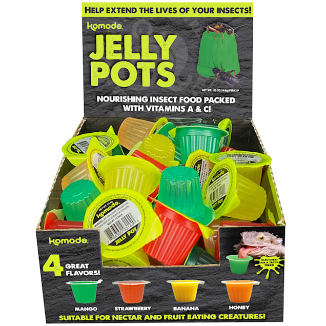Multipet Komodo Jelly Pots for Hydration & Nutrient Delivery
