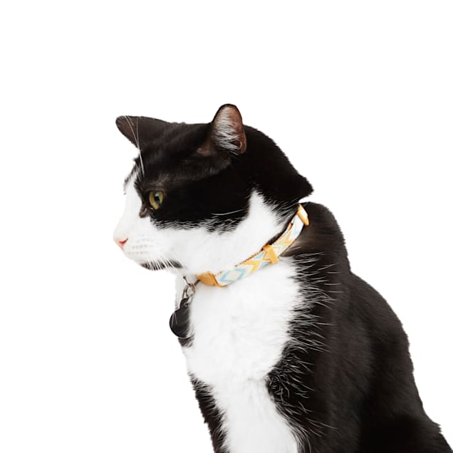 Cat friendship collar hotsell