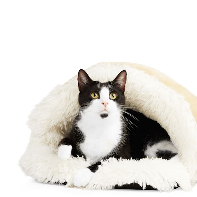 Soothing cat bed outlet