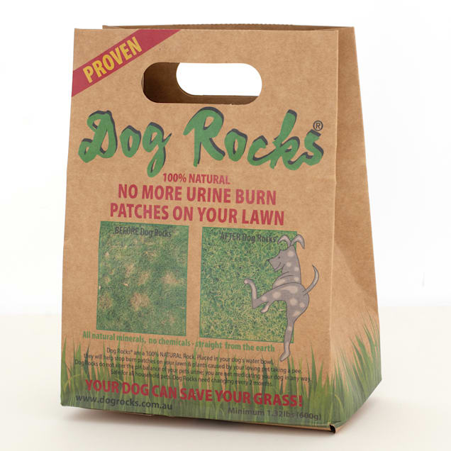 Dog deals rocks safe