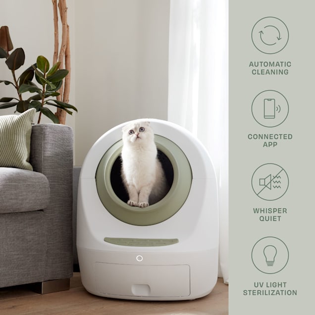 Green sales litter box