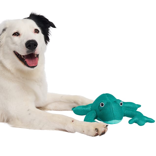 Pet toys hot sale canada