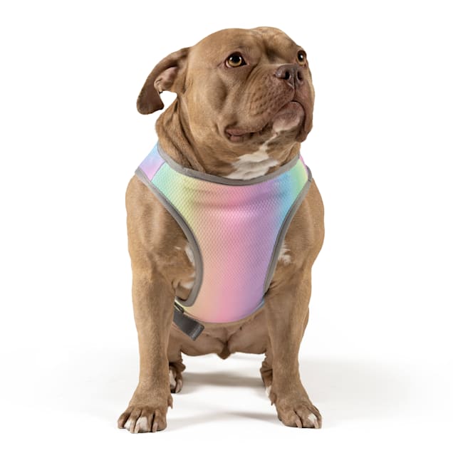 Petco cooling clearance vest