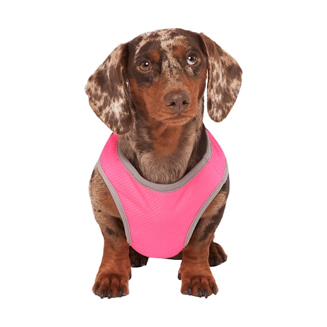 Petco service dog harness outlet