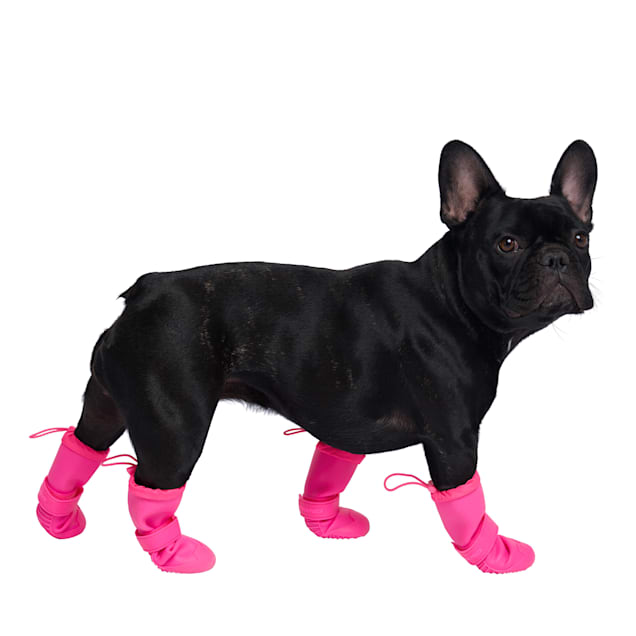 Petco boots cheap