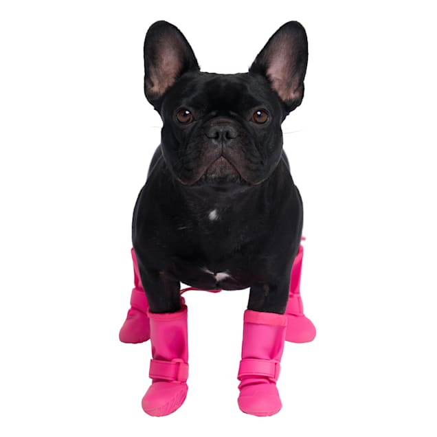 Dog booties petco sales