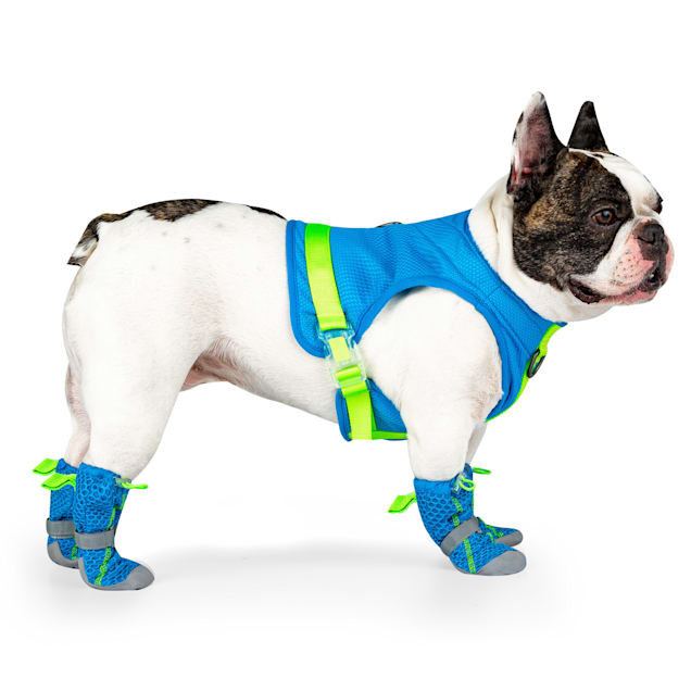 Petco shoes deals for dogs
