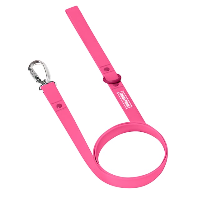 Canada Pooch Pink Waterproof Dog Leash, Small/Medium, 5 ft. Petco