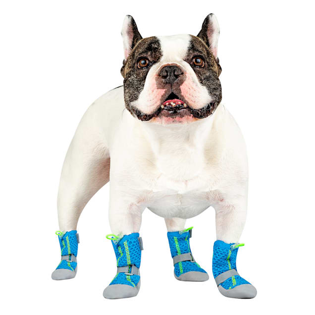 Dog shoes petco new arrivals
