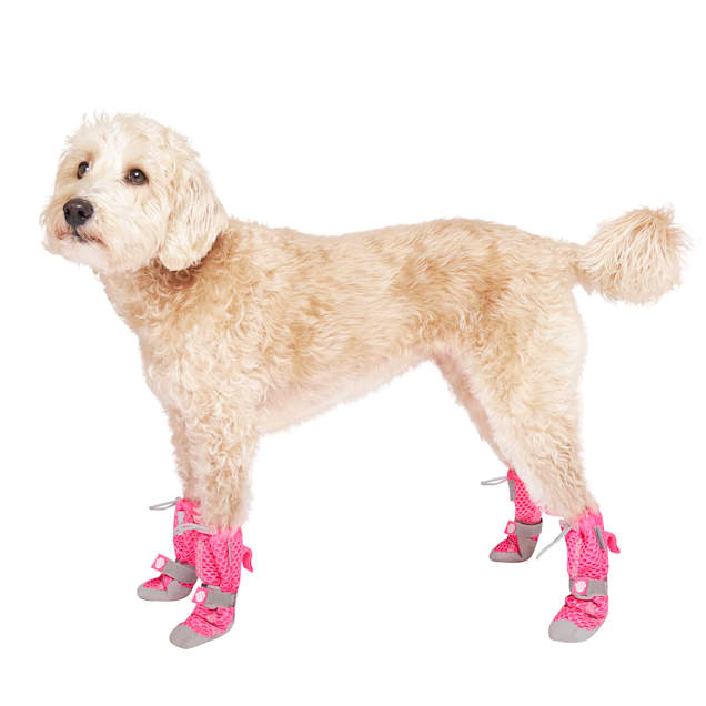 Cat booties petco new arrivals