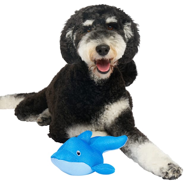 Cooling Dog Toy Alaska Dolphin