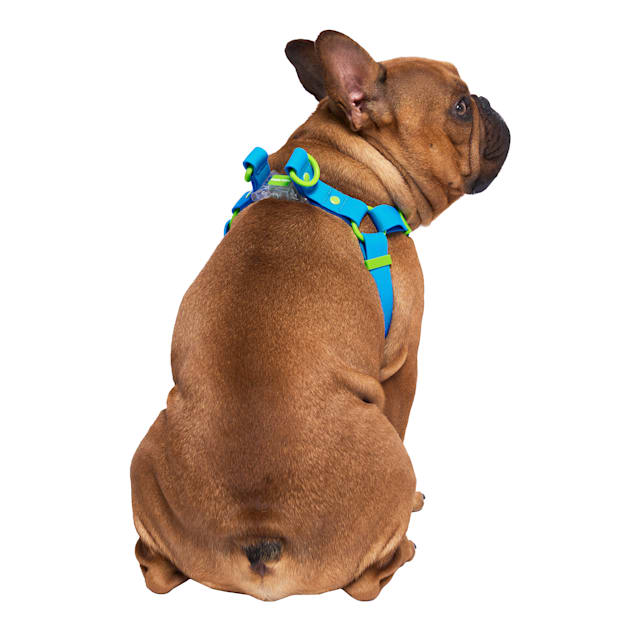 Canada Pooch Waterproof Dog Harness Blue Medium