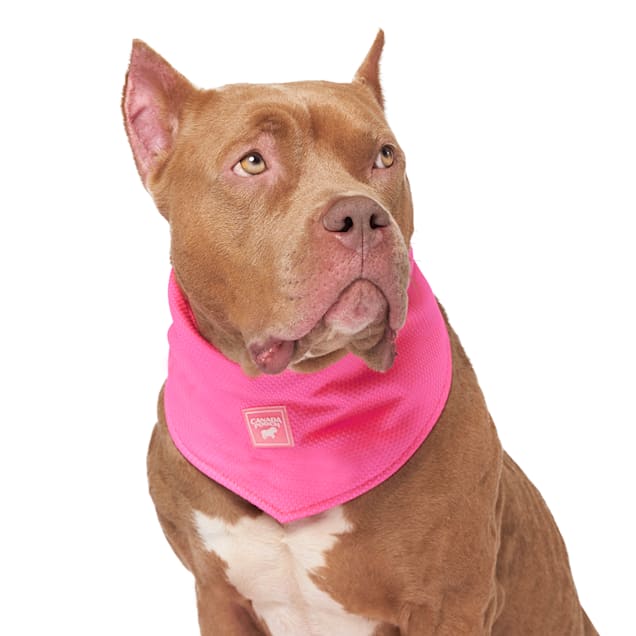 Pink camo new arrivals dog bandana